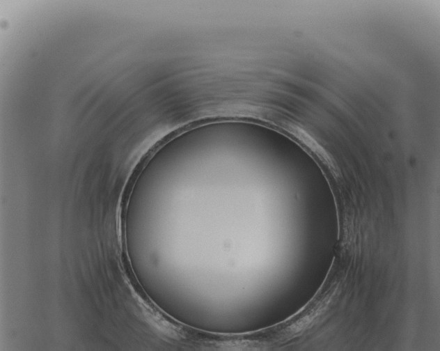 X0000063500988200601271740