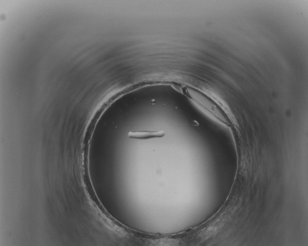 X0000063500992200601271740