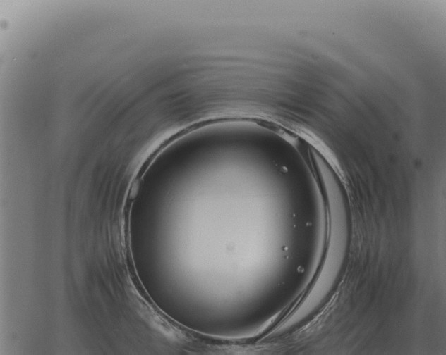 X0000063500996200601271740