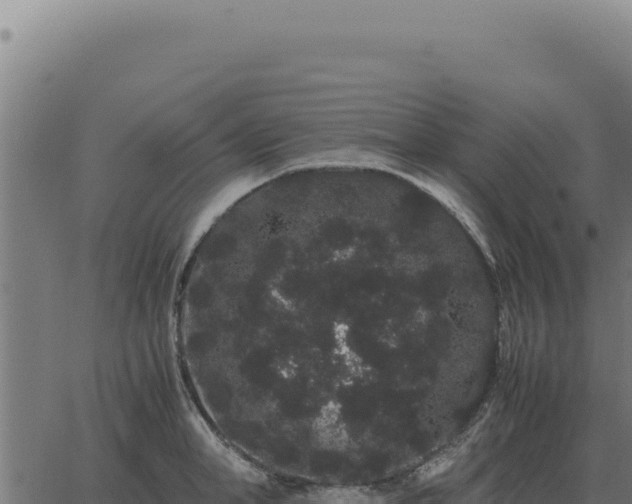 X0000063500998200601271740