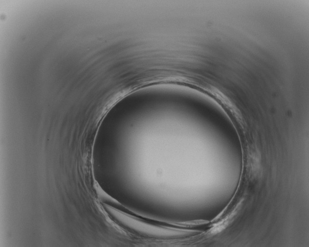 X0000063501001200601271740