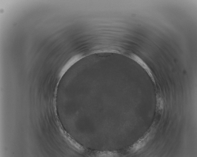 X0000063501002200601271740