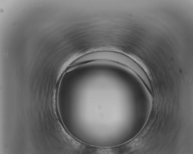 X0000063501006200601271740