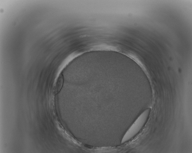 X0000063501008200601271740