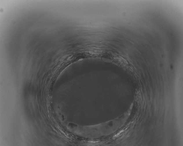 X0000063501009200601271739