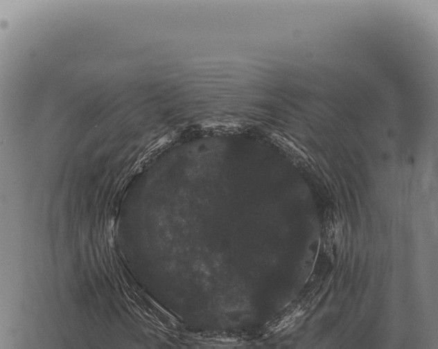 X0000063501010200601271739