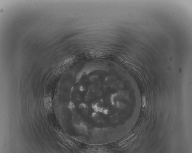 X0000063501011200601271739