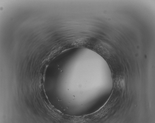 X0000063501012200601271739