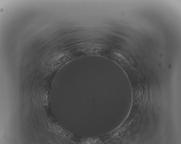 X0000063501013200601271739