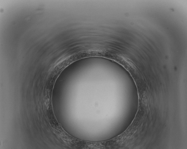 X0000063501015200601271739