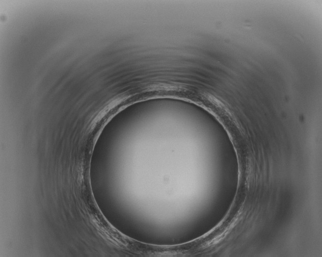 X0000063501017200601271739