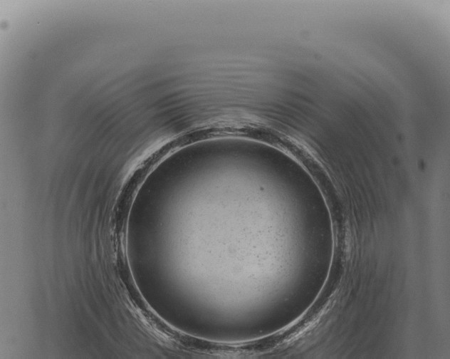 X0000063501018200601271739