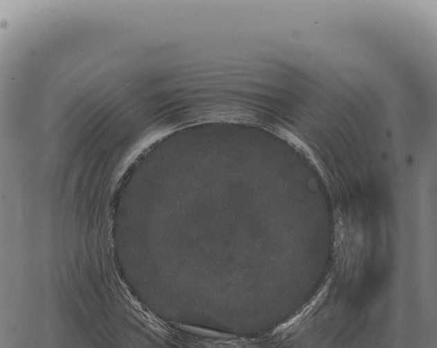 X0000063501019200601271739