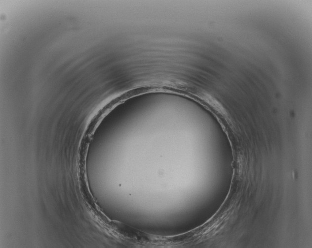 X0000063501020200601271739