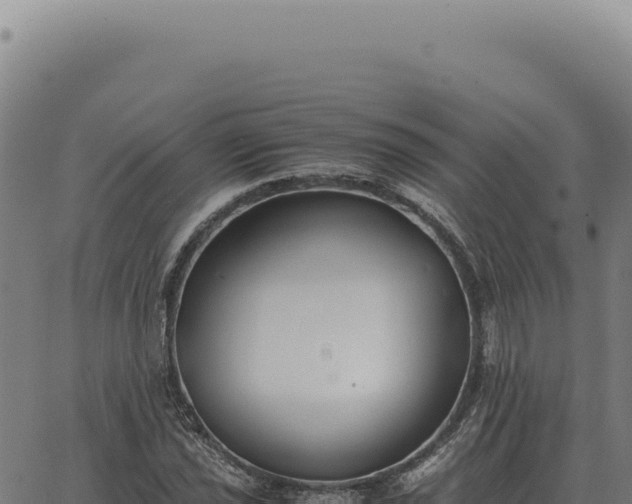 X0000063501021200601271740