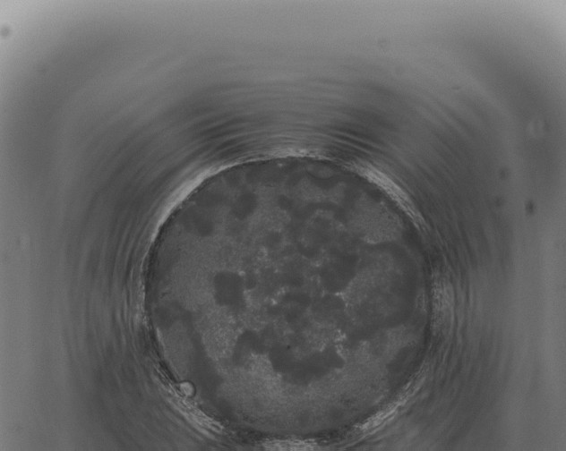 X0000063501023200601271740