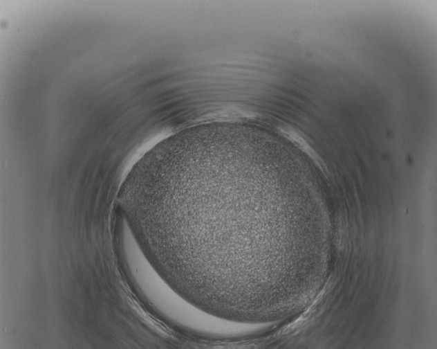 X0000063501026200601271740