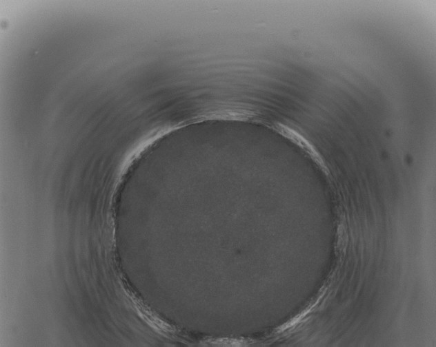 X0000063501027200601271740