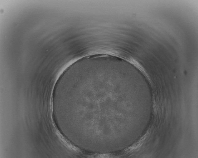 X0000063501028200601271740