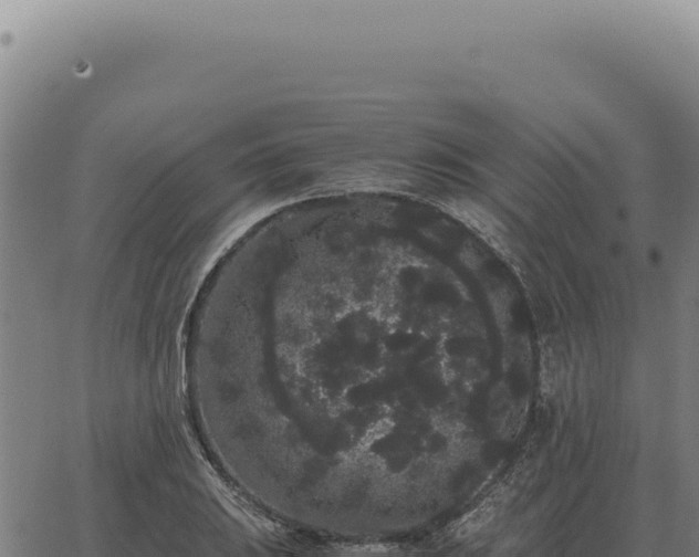 X0000063501031200601271740