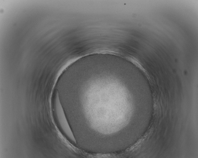 X0000063501032200601271740