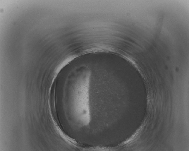 X0000063501034200601271740