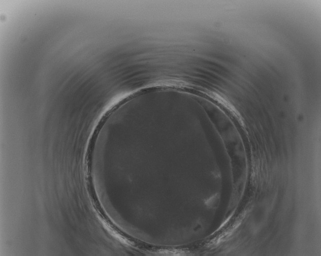 X0000063501037200601271740