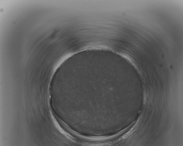 X0000063501038200601271740