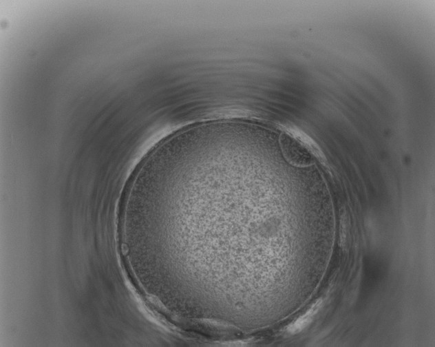 X0000063501039200601271740