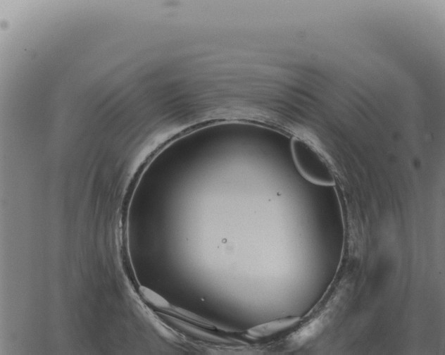 X0000063501040200601271740