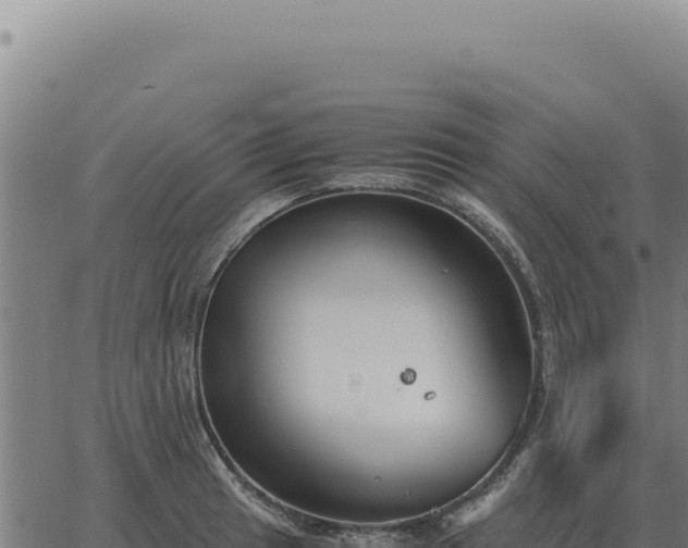 X0000063501041200601271740