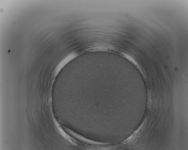 X0000063501042200601271740