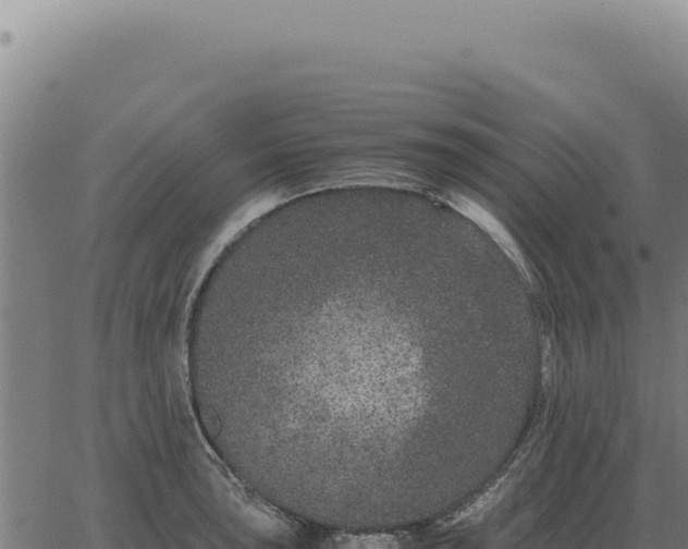 X0000063501043200601271740