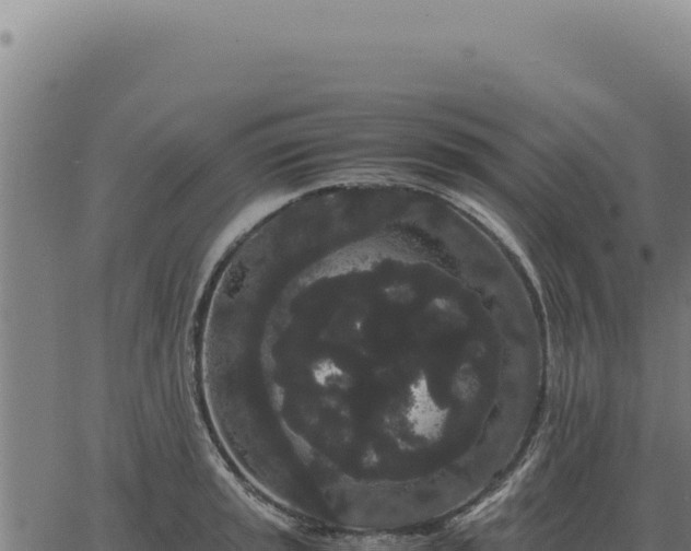 X0000063501045200601271740