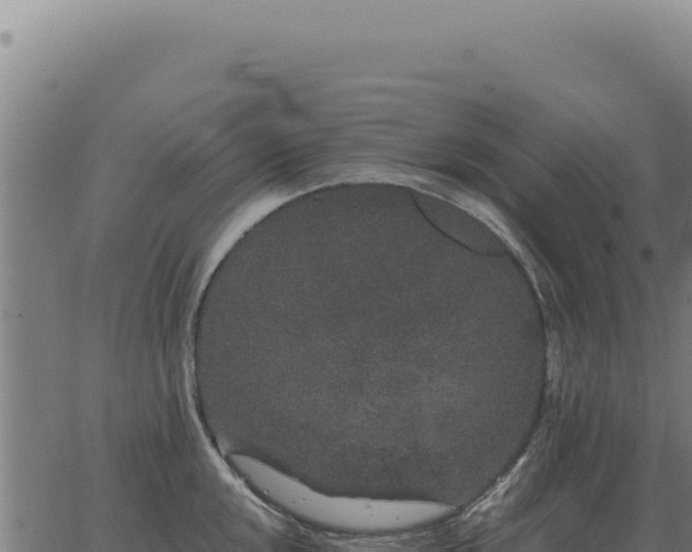 X0000063501048200601271740