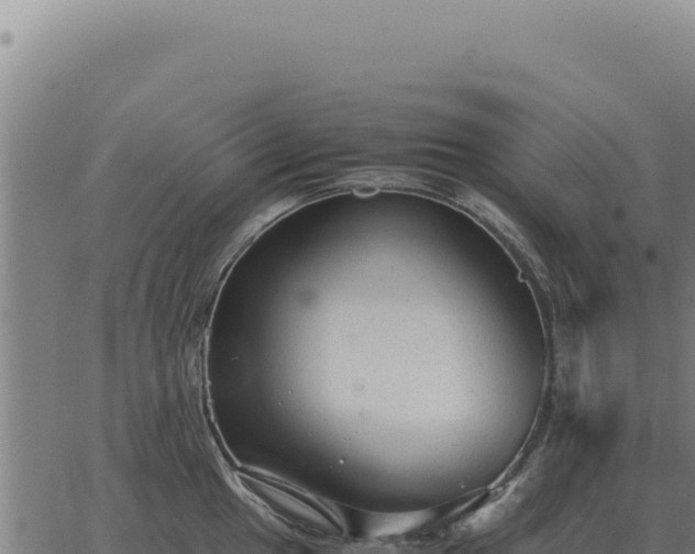 X0000063501049200601271740