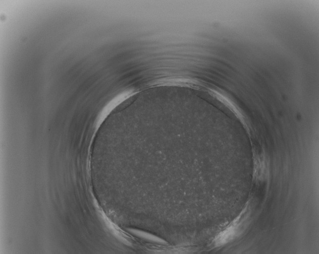 X0000063501050200601271740