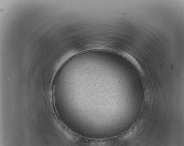 X0000063501051200601271740