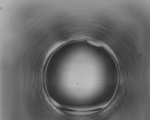 X0000063501053200601271740