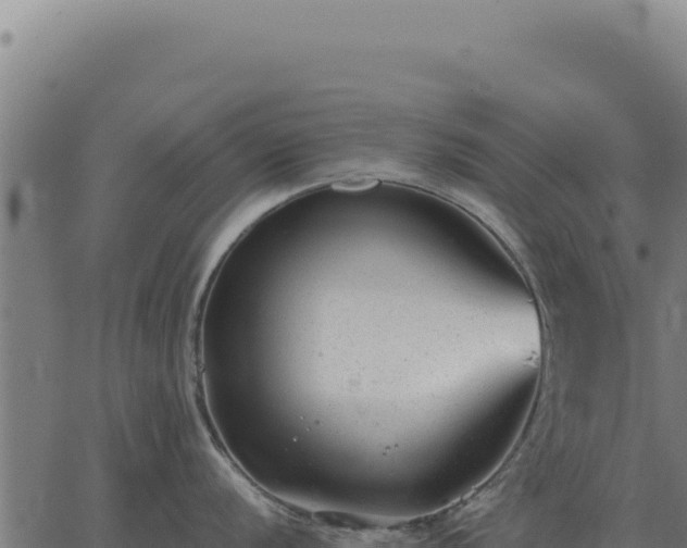 X0000063501056200601271740