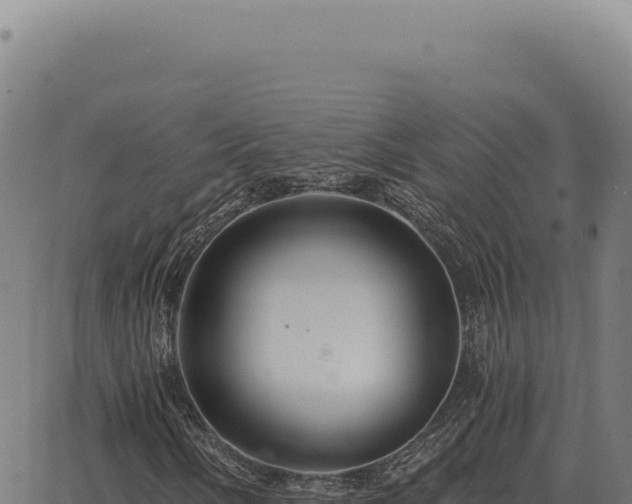 X0000063501058200601271739