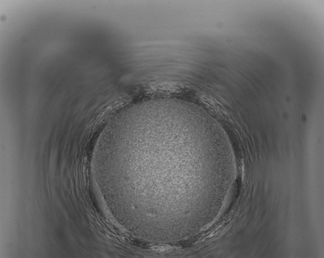 X0000063501059200601271739