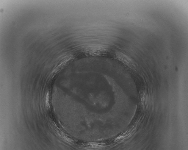 X0000063501060200601271739