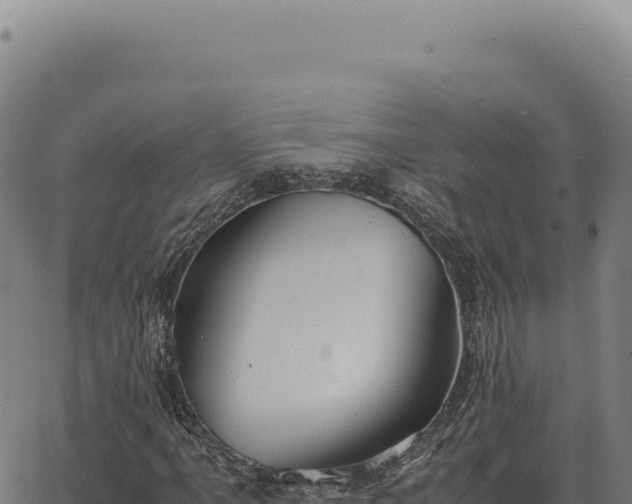 X0000063501061200601271739