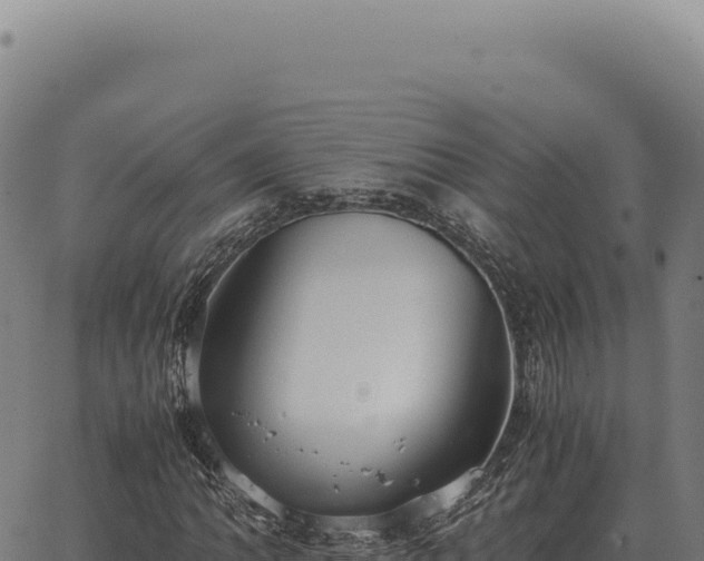 X0000063501062200601271739