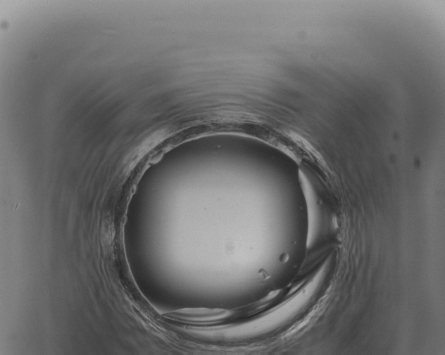 X0000063501065200601271739