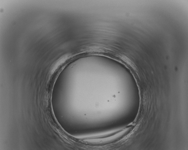 X0000063501067200601271739