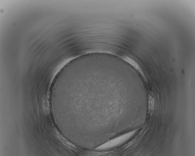 X0000063501068200601271739