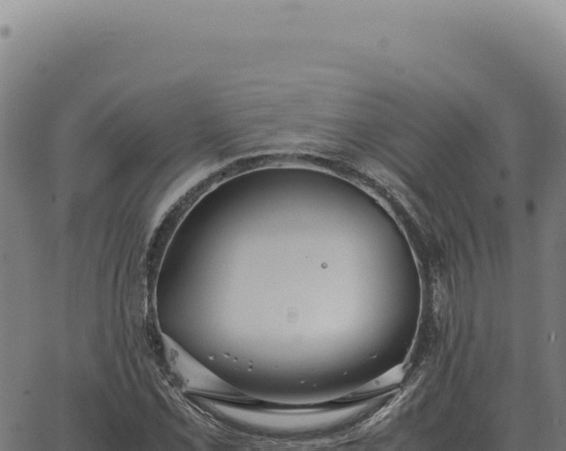 X0000063501069200601271739