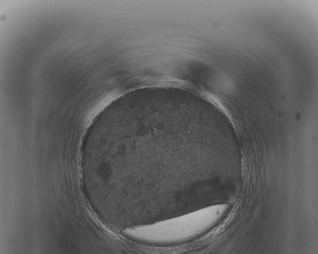 X0000063501071200601271739